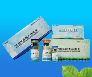 注射用鹽酸克林霉素全面解析 從功效、代理到市場準入信息