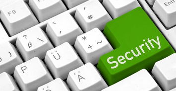 企業(yè)信息安全投資指南 合理預(yù)算與有效防護